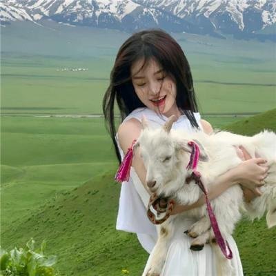 华丽的假期